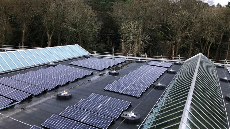 Professional roofing services in UK